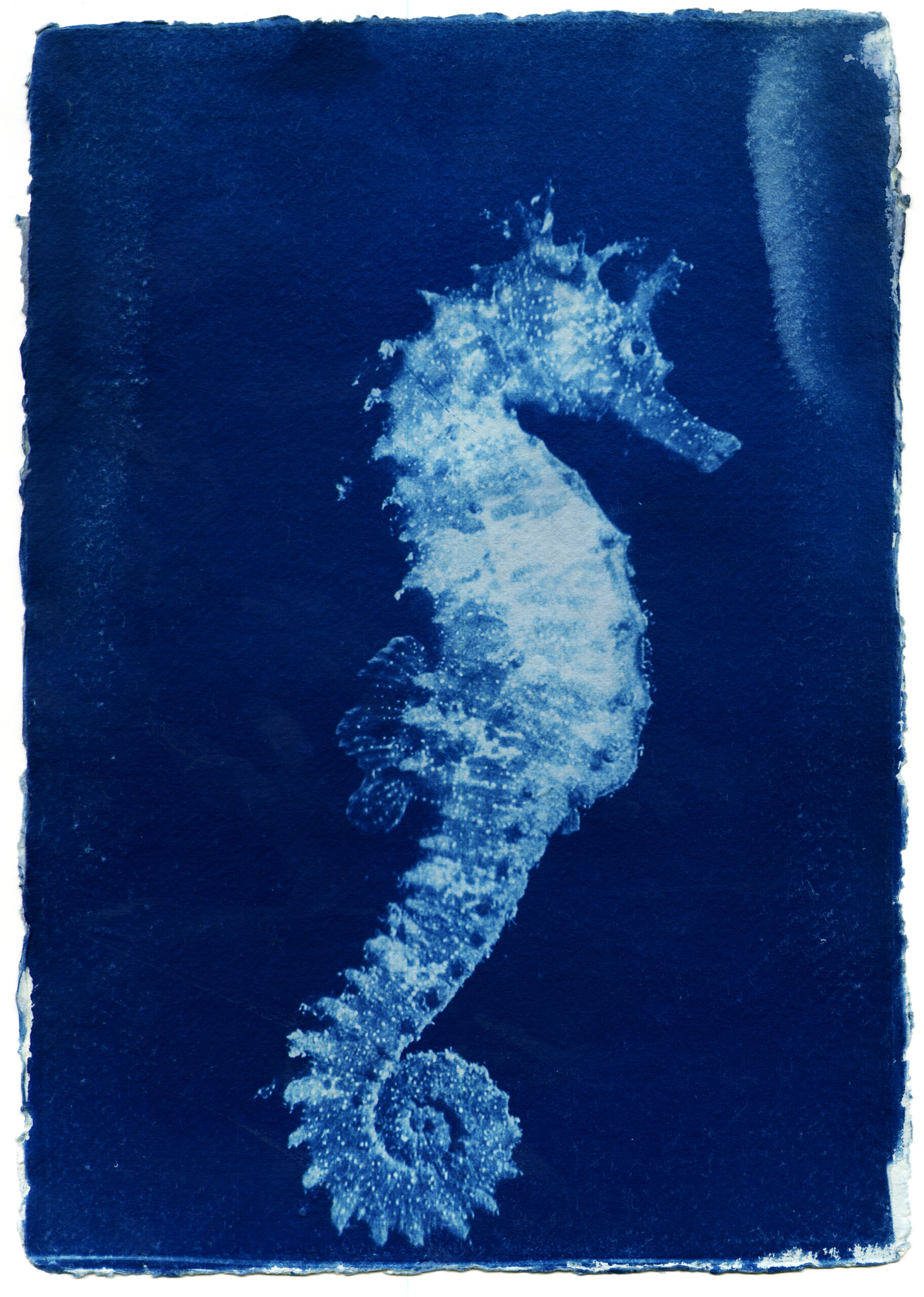 artofjabo - 301 - 'It's sticking and stucking' 2021 Jessica A O'Neill